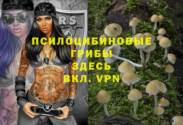 прущая мука Армянск